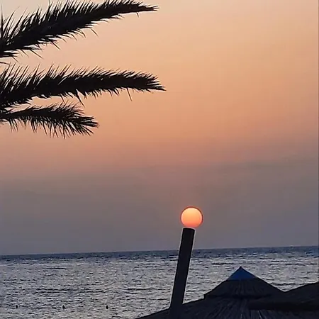 Sunset 金尼昂